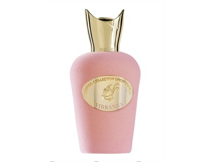 Screenshot 2026 01 16 at 13.16.30