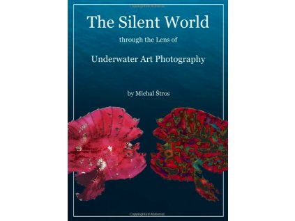 Silent world kniha 1