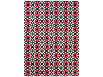 Koberec Modern Rugs Anasterian 24