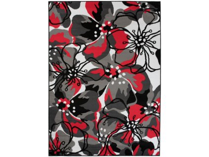 Koberec Modern Rugs Anasterian 71