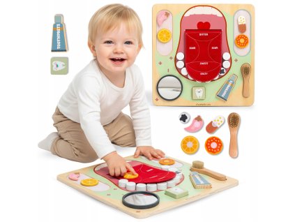 Dřevěná vzdělávací tabule Montessori – Malý zubař