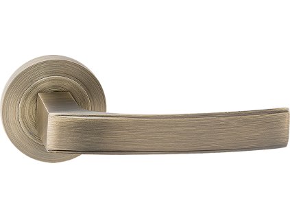 Klika na rozetě ASTER – patina