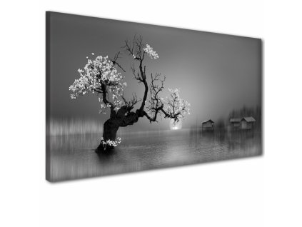 Obraz na plátně strom, vzor 41241