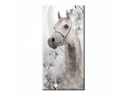 Obraz na plátně kůň, vzor 12371