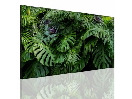 Obraz na plátně květiny, vzor 15076