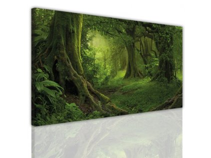 Obraz na plátně les, vzor 15163