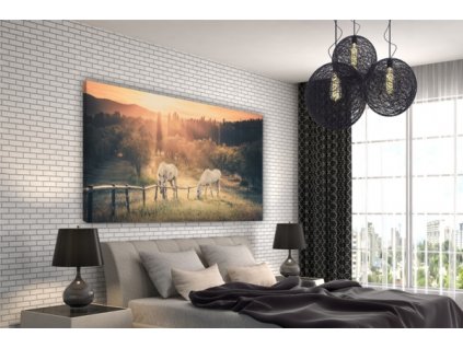 Obraz na plátně koně, vzor 15162