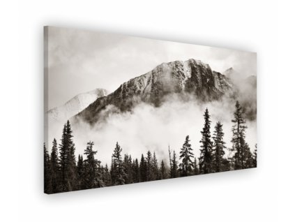 Obraz na plátně hory, vzor 20164