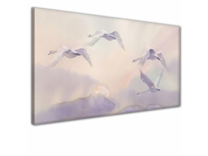 Obraz na plátně ptactvo, vzor 41362