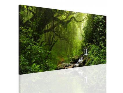 Obraz na plátně les, vzor 15093