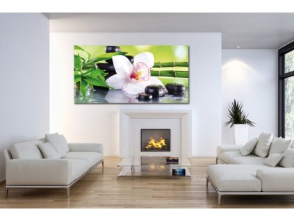 Obraz na plátně květiny, vzor 12390