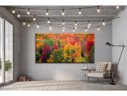 Obraz na plátně podzim, vzor 41316