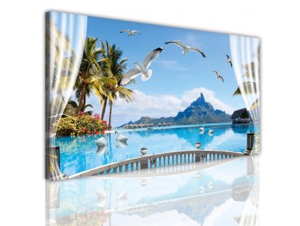 Obraz na plátně ptactvo, vzor 15181