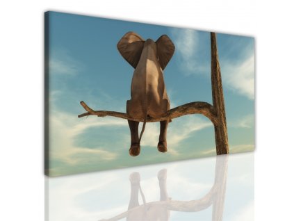 Obraz na plátně slon, vzor 15164