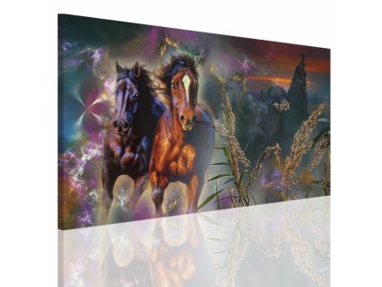 Obraz na plátně koně, vzor 15071