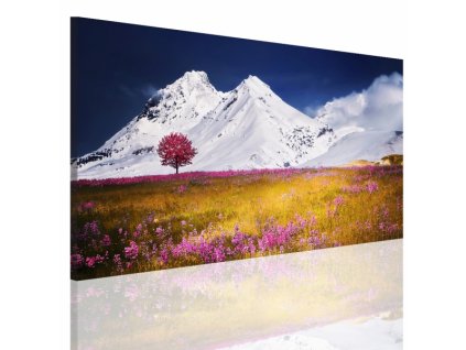 Obraz na plátně hory, vzor 15070