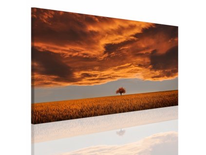 Obraz na plátně strom, vzor 15069