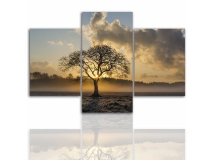 Třídílný obraz na plátně strom, vzor 12264