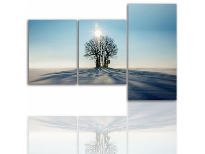 Třídílný obraz na plátně strom, vzor 12133