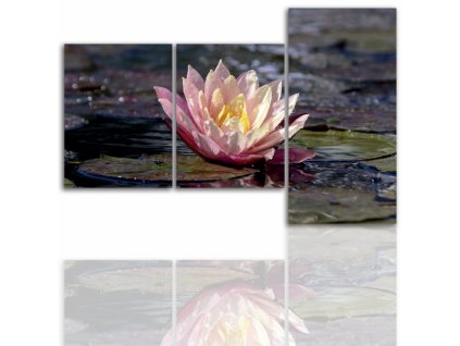 Třídílný obraz na plátně květiny, vzor 12130