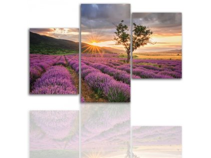 Třídílný obraz na plátně louka, vzor 12022
