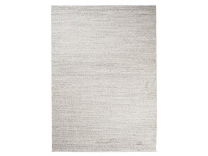 t006a light gray sari 010
