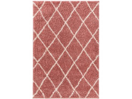 Koberec Divio Trends - TRSO13 - SOHO Rose