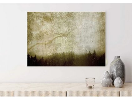Obraz na plátně, vzor 20392