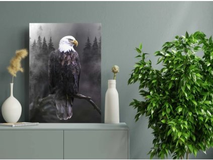 Obraz na plátně, vzor 20389