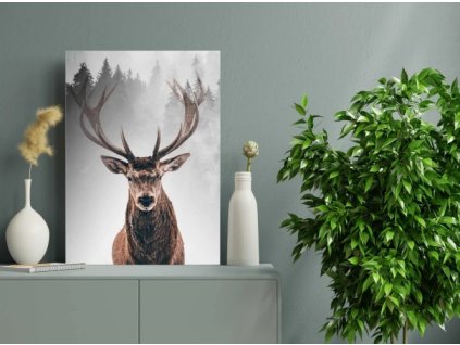 Obraz na plátně, vzor 20388