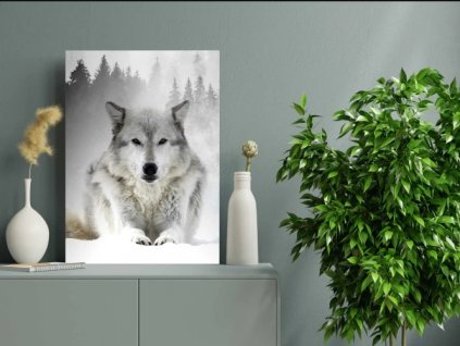 Obraz na plátně, vzor 20387