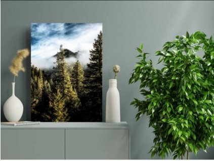 Obraz na plátně, vzor 20386