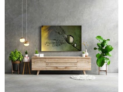 Obraz na plátně, vzor 20351