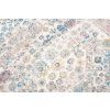 Koberec Happy - 352 Grey/Mavi