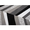 Koberec Modern Rugs Anasterian 42
