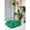 C MONSTERA 9