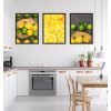 Třídílny plakát citrus, vzor KP169