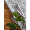 Koberec Divio Trends - TRAN04 - ANA Grey