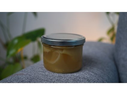 Bio Scoby