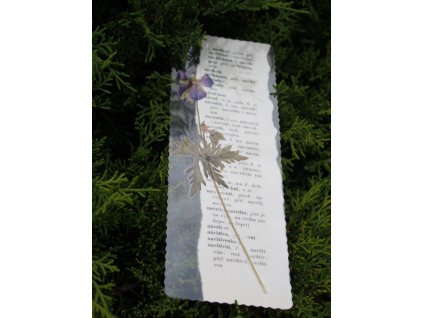 Záložka slovníková s kytičkou