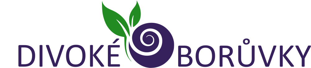 www.divokeboruvky.cz
