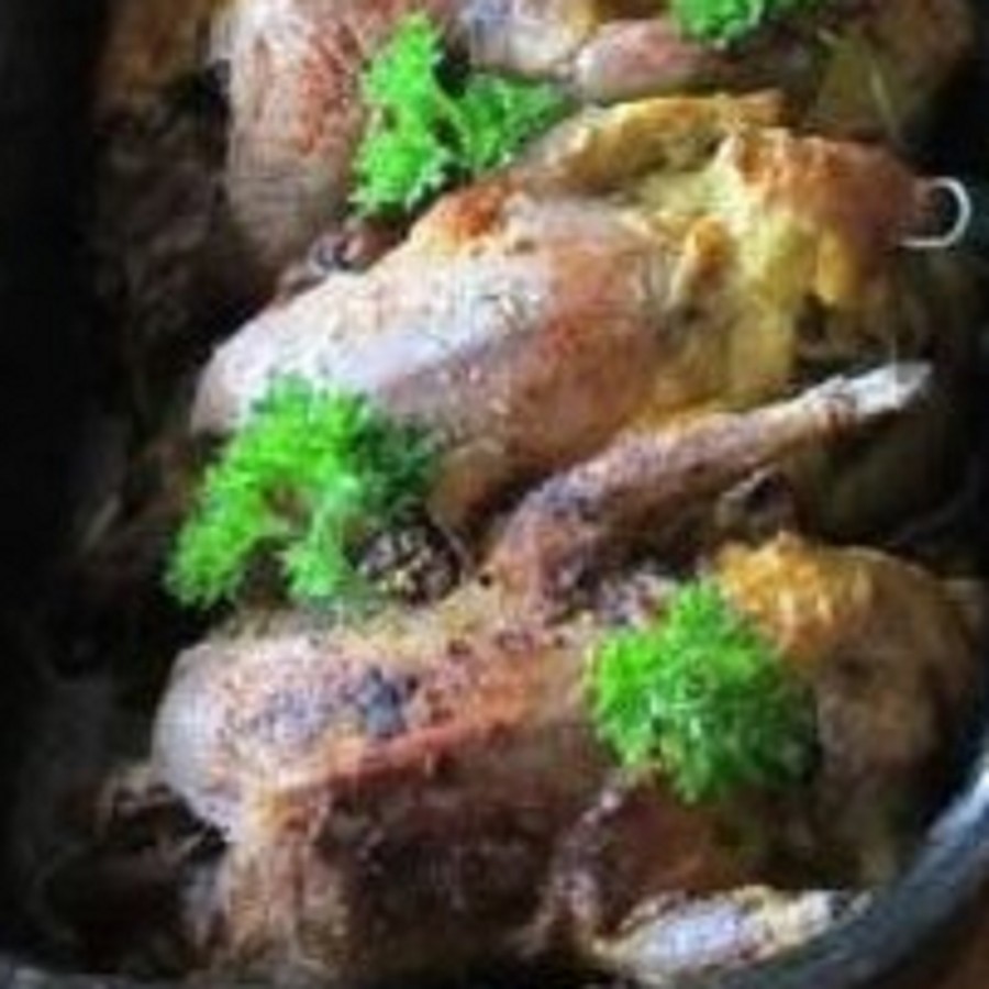 Konfitované holoubě