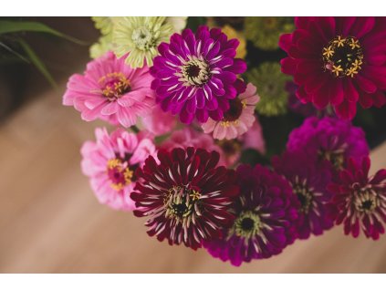 Workshop (16.9.2019)