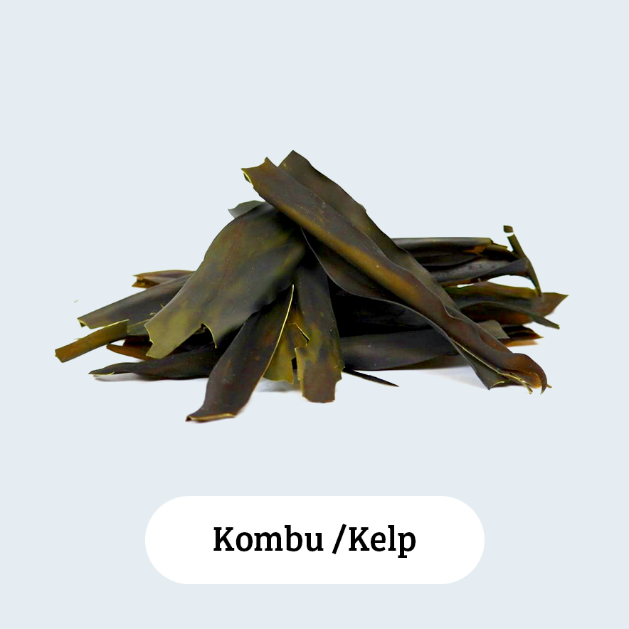 Kelp