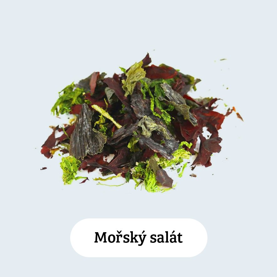 Mořský salát