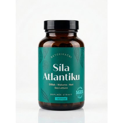 Síla atlantiku (2)