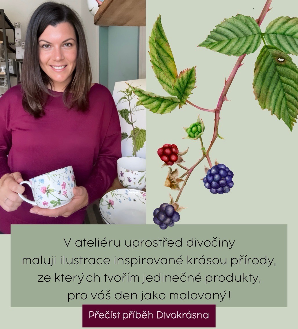 Příběh české značky Divokrásno