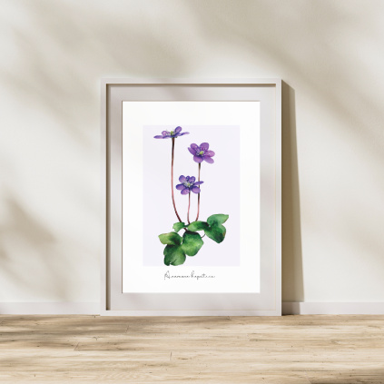 Aesthetic Photo Frame Mockup Instagram Post