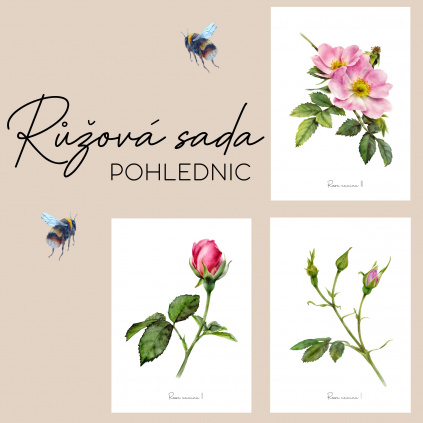 Pohlednice - Růžová sada
