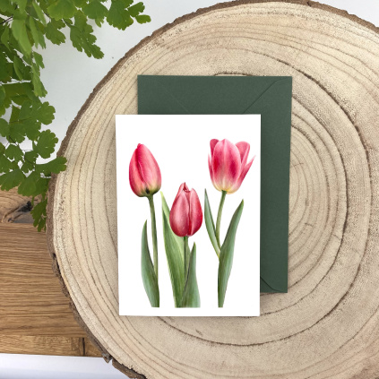Přání s obálkou - Tulipány
